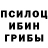 Псилоцибиновые грибы Cubensis BeaverArts