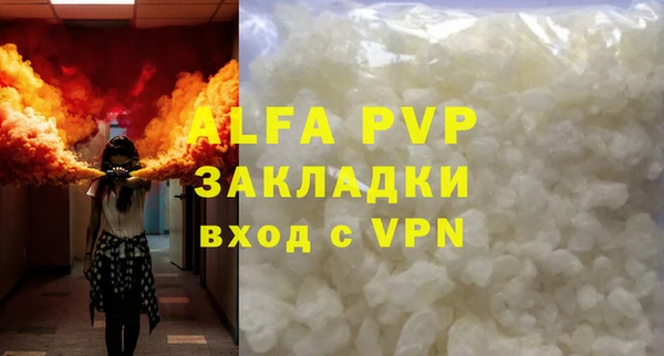 PSILOCYBIN Волосово