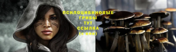 ECSTASY Володарск