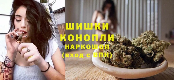 PSILOCYBIN Волосово