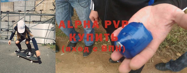 PSILOCYBIN Волосово