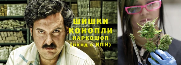 PSILOCYBIN Волосово