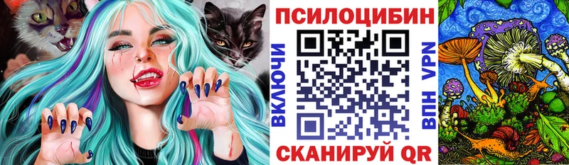 Псилоцибиновые грибы Psilocybine cubensis  Гусиноозёрск 
