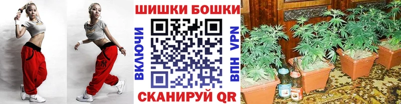 Бошки Шишки индика  Гусиноозёрск 